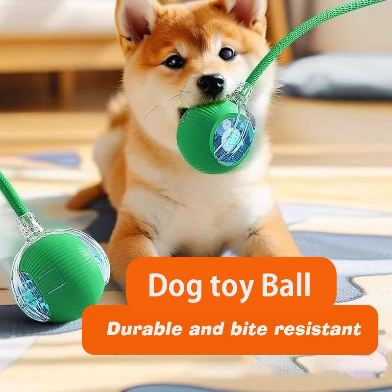 Smart Rolling Dog Ball - interactive Toy for Dogs