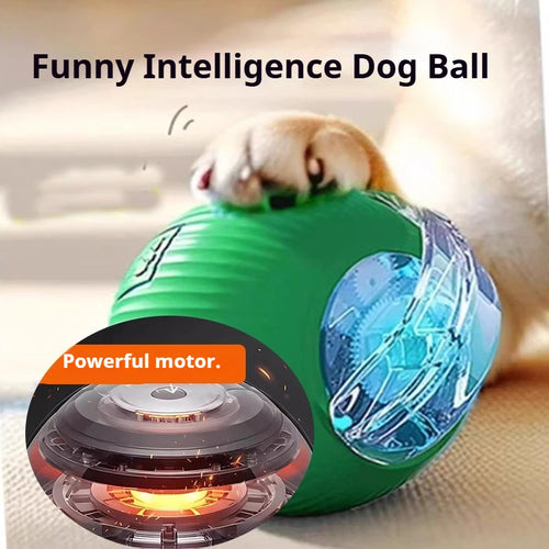 Smart Rolling Dog Ball - interactive Toy for Dogs