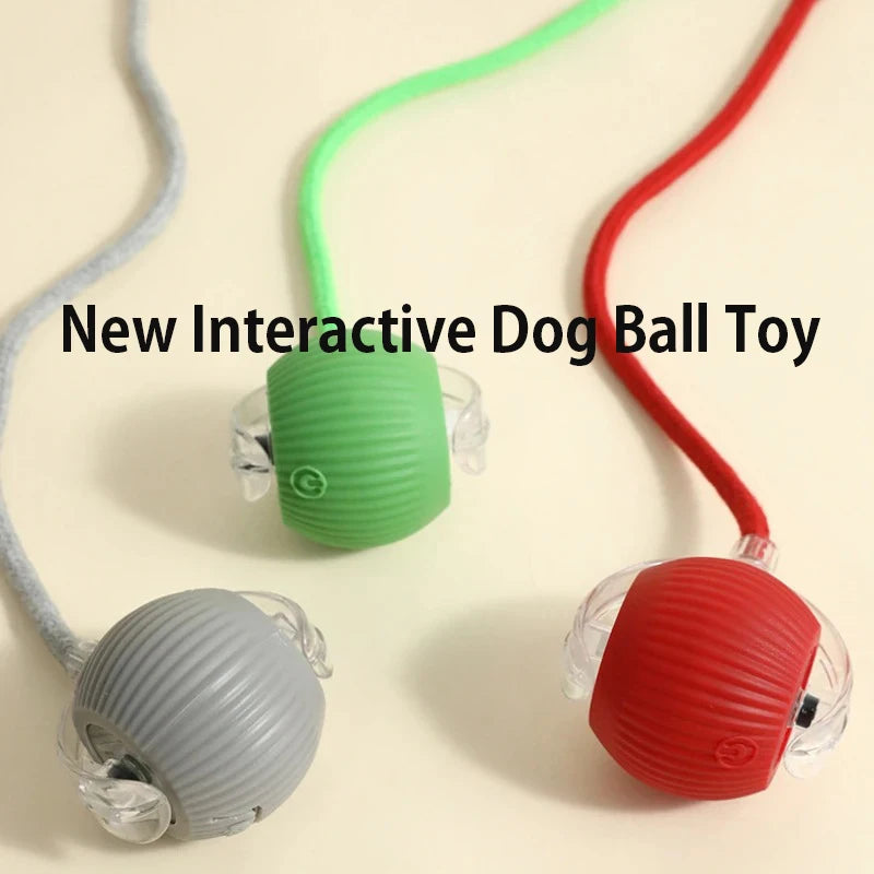 Smart Rolling Dog Ball - interactive Toy for Dogs